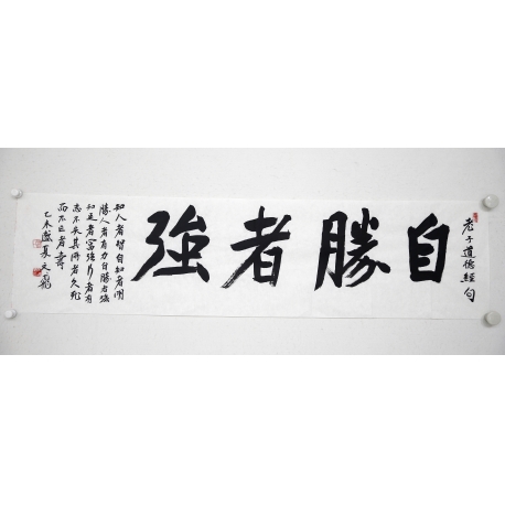 争强好胜不服输,华丽表现引人瞩目 争强好胜不服输,华丽表现引人瞩目