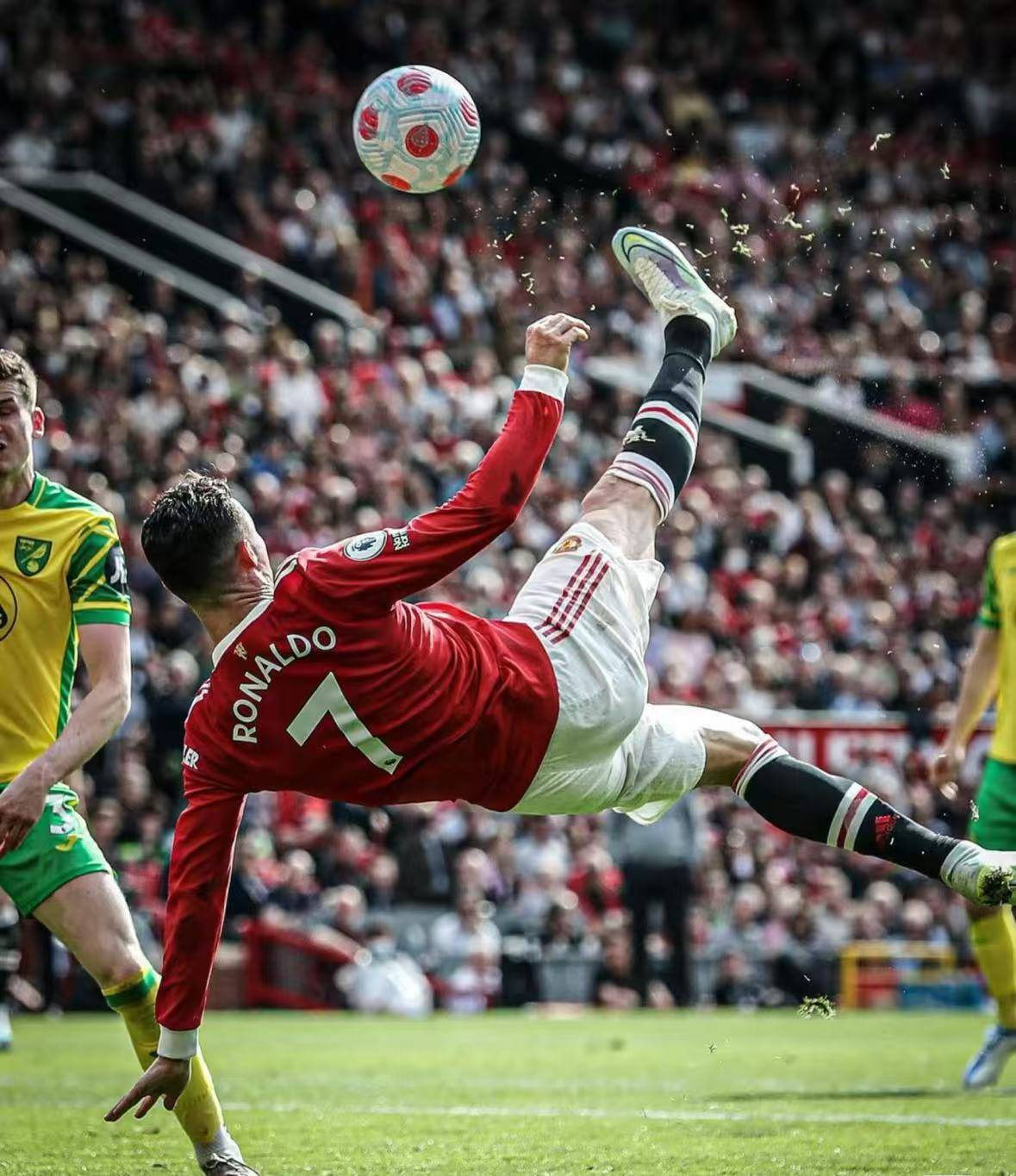 爱游戏入口-佛罗伦萨遭遇连败，保级形势严峻的简单介绍